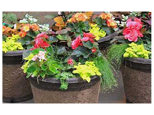 North Crawford to hold plant sale North Crawford to hold plant sale