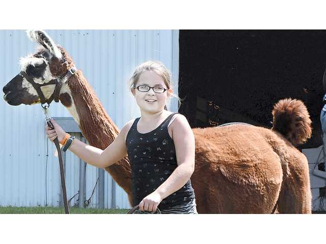 Crawford County Fair announces award-winning entries Crawford County Fair announces award-winning entries