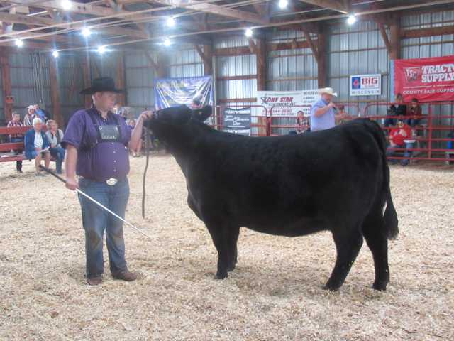 County Fair youth winners announced County Fair youth winners announced