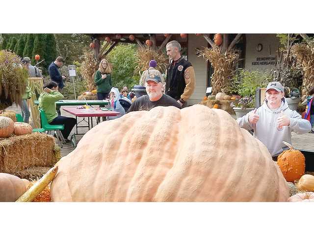 Local men focus on growing big pumpkins Local men focus on growing big pumpkins