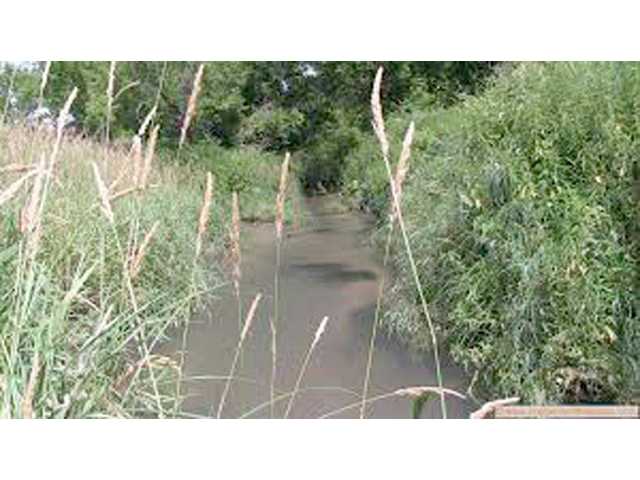 CSP reports two streams high in E.coli CSP reports two streams high in E.coli
