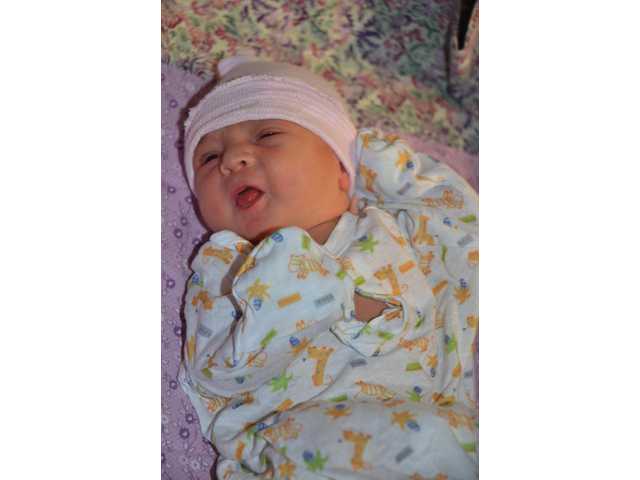 Ayla Reign Isler Ayla Reign Isler